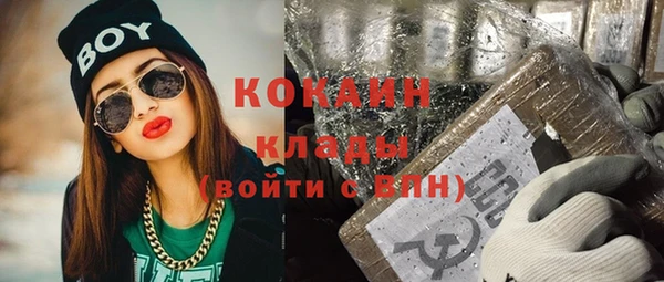 гидра Алексин